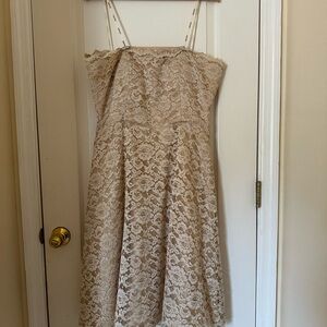 Night Way Collections Beige Lace Dress